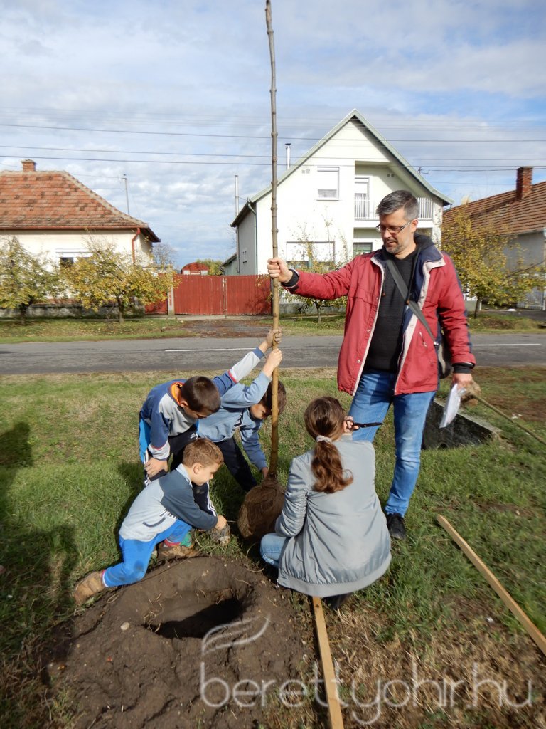 Közösségi faültetés Berettyóújfaluban 41